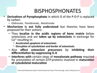 BISPHOSPHONATES
• Derivatives of Pyrophosphate in which O of the P-O-P is replaced
by carbon
– Etidronate, Pamidronate, Alendronate
• Mechanism is not fully understood but theories have been
proposed for their actions:
– They localize in the acidic regions of bone matrix below
osteoclasts and are taken up by osteoclasts in exchange for
Ca2+
resulting in:
• Accelerated apoptosis of osteoclasts
• Disruption of cytoskeleton and border of osteoclasts
– Also affect osteoclast precursors by inhibiting their
differentiation by suppressing IL-6
– Interferes with certain steps of mevalonate pathway required
for prenylation of certain GTP-proteins involved in maturation
of cytoskeletal maturation
 