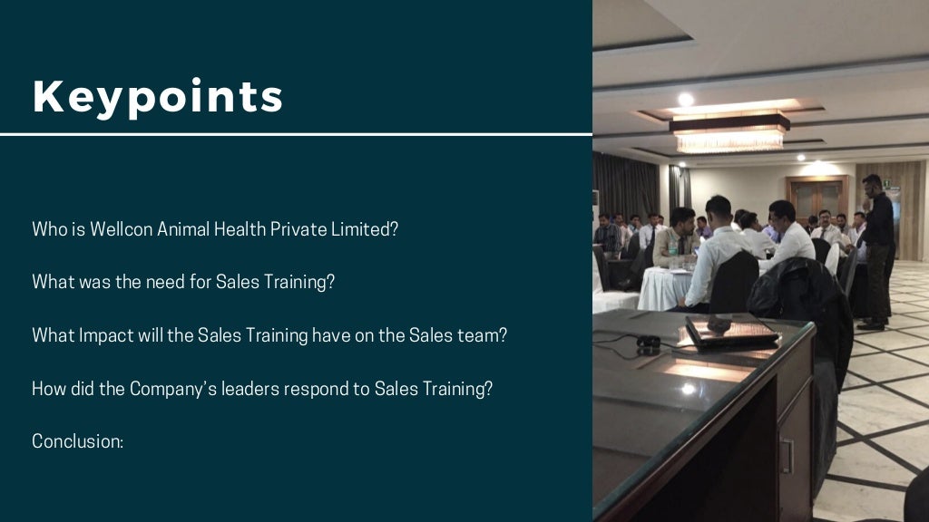 YMS Delivered Sales Training Programs at Wellcon Animal Health Private
