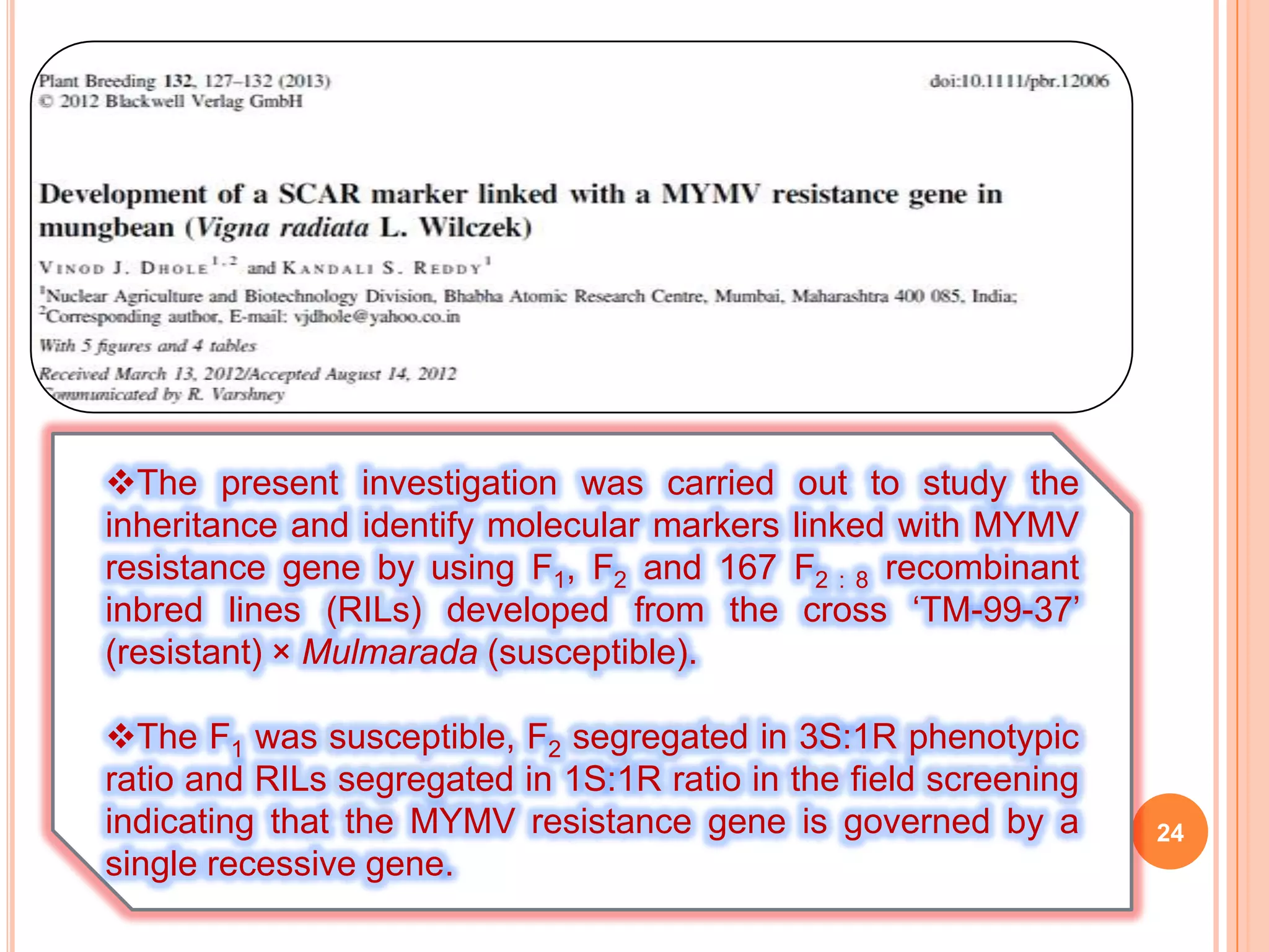 24
The present investigation was carried out to study the
inheritance and identify molecular markers linked with MYMV
resistance gene by using F1, F2 and 167 F2 : 8 recombinant
inbred lines (RILs) developed from the cross ‘TM-99-37’
(resistant) × Mulmarada (susceptible).
The F1 was susceptible, F2 segregated in 3S:1R phenotypic
ratio and RILs segregated in 1S:1R ratio in the field screening
indicating that the MYMV resistance gene is governed by a
single recessive gene.
 