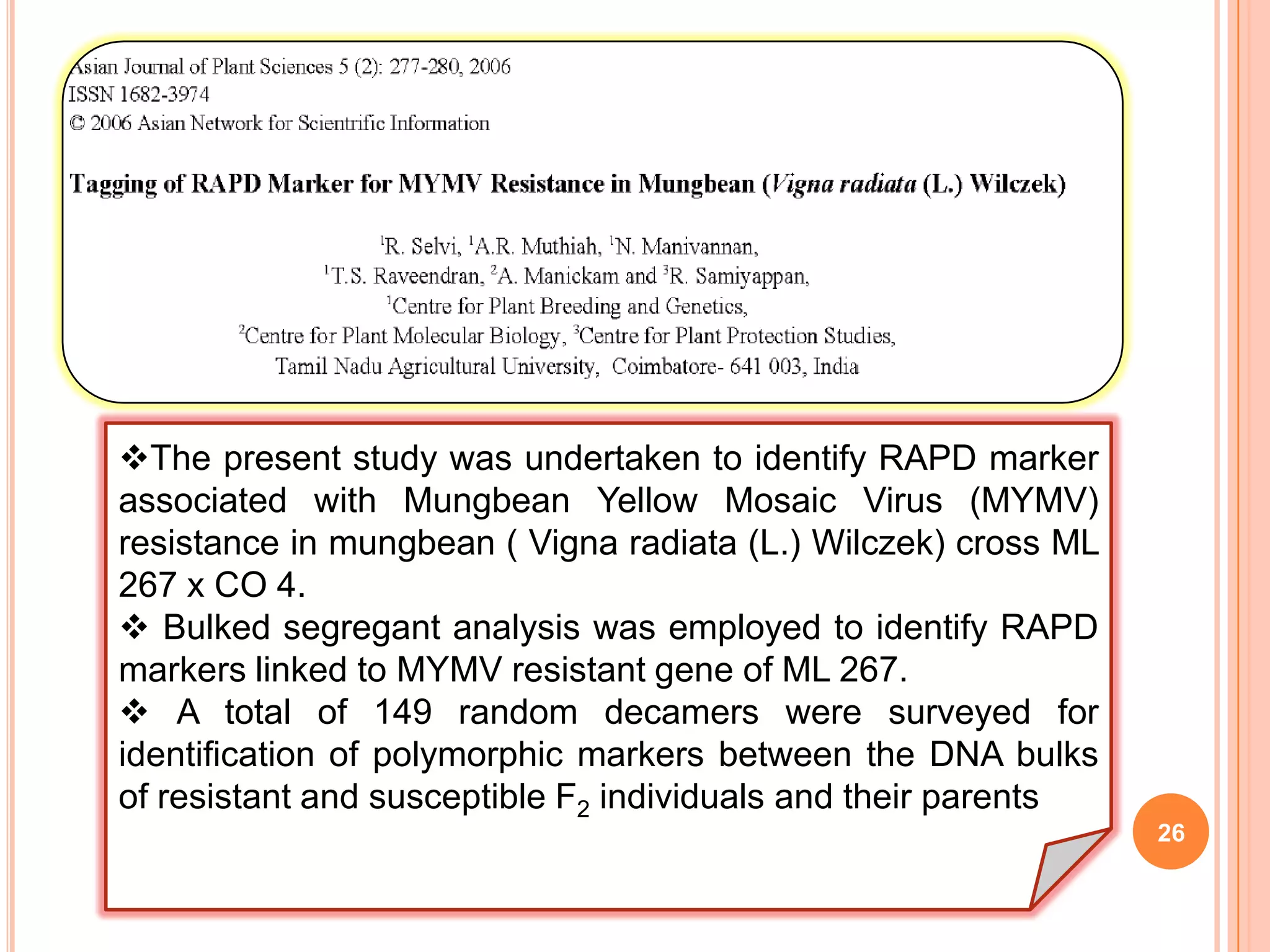 26
The present study was undertaken to identify RAPD marker
associated with Mungbean Yellow Mosaic Virus (MYMV)
resistance in mungbean ( Vigna radiata (L.) Wilczek) cross ML
267 x CO 4.
 Bulked segregant analysis was employed to identify RAPD
markers linked to MYMV resistant gene of ML 267.
 A total of 149 random decamers were surveyed for
identification of polymorphic markers between the DNA bulks
of resistant and susceptible F2 individuals and their parents
 