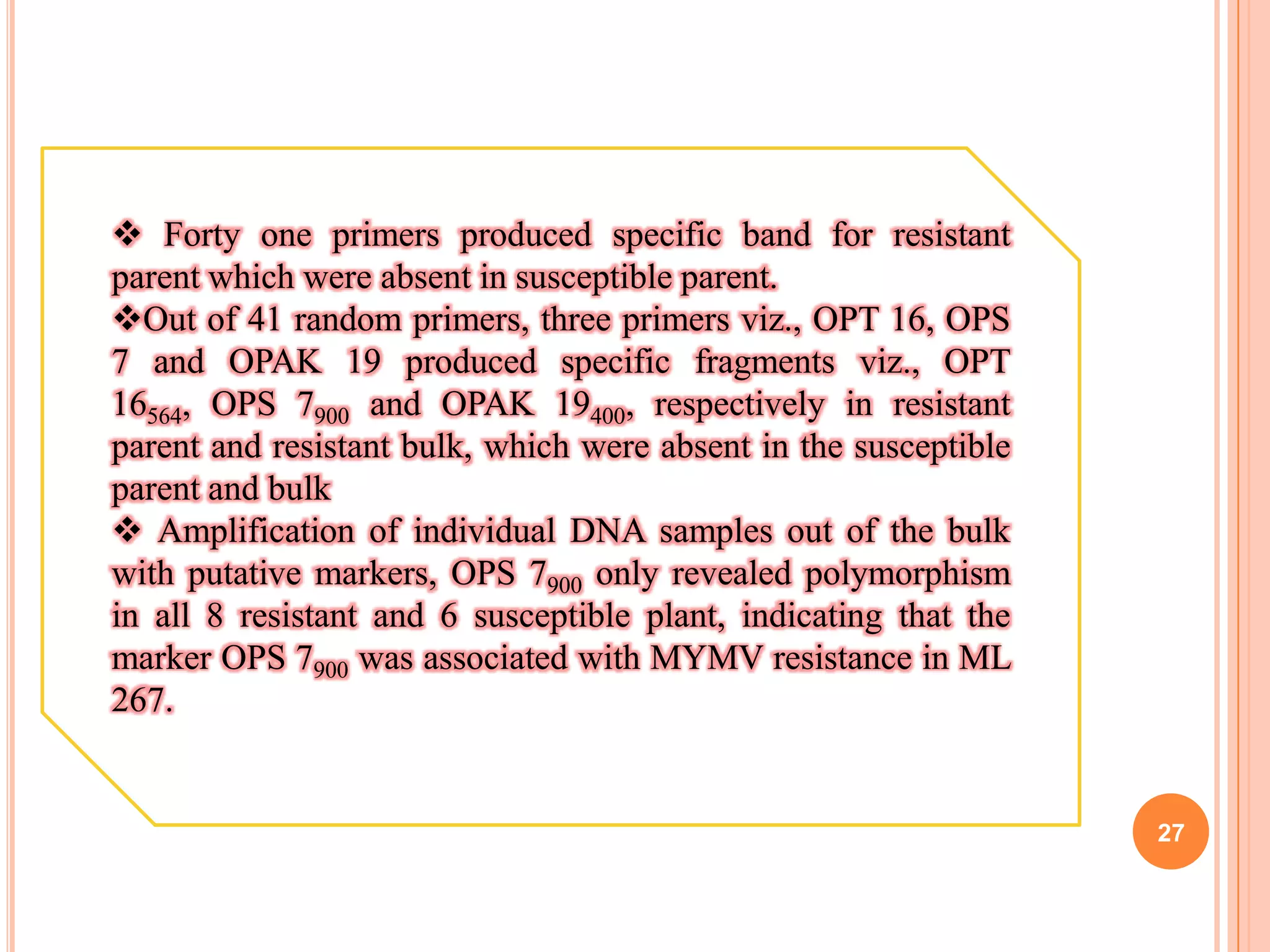 27
 Forty one primers produced specific band for resistant
parent which were absent in susceptible parent.
Out of 41 random primers, three primers viz., OPT 16, OPS
7 and OPAK 19 produced specific fragments viz., OPT
16564, OPS 7900 and OPAK 19400, respectively in resistant
parent and resistant bulk, which were absent in the susceptible
parent and bulk
 Amplification of individual DNA samples out of the bulk
with putative markers, OPS 7900 only revealed polymorphism
in all 8 resistant and 6 susceptible plant, indicating that the
marker OPS 7900 was associated with MYMV resistance in ML
267.
 