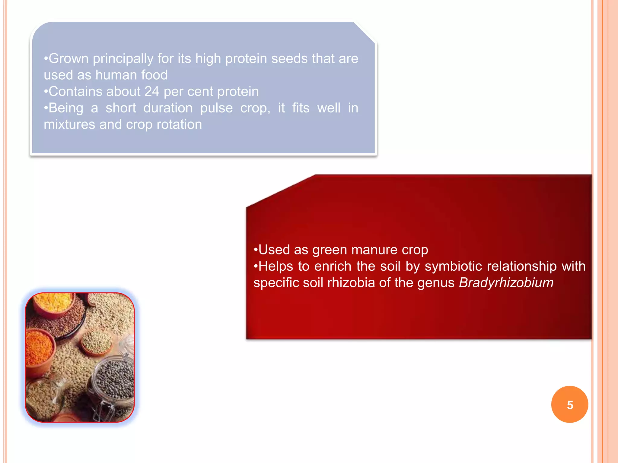5
•Grown principally for its high protein seeds that are
used as human food
•Contains about 24 per cent protein
•Being a short duration pulse crop, it fits well in
mixtures and crop rotation
•Used as green manure crop
•Helps to enrich the soil by symbiotic relationship with
specific soil rhizobia of the genus Bradyrhizobium
 