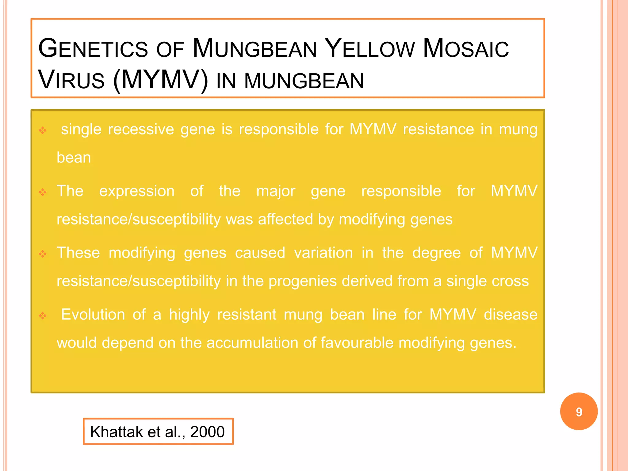GENETICS OF MUNGBEAN YELLOW MOSAIC
VIRUS (MYMV) IN MUNGBEAN
 single recessive gene is responsible for MYMV resistance in mung
bean
 The expression of the major gene responsible for MYMV
resistance/susceptibility was affected by modifying genes
 These modifying genes caused variation in the degree of MYMV
resistance/susceptibility in the progenies derived from a single cross
 Evolution of a highly resistant mung bean line for MYMV disease
would depend on the accumulation of favourable modifying genes.
9
Khattak et al., 2000
 