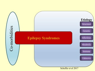 Unknown
Immune
Infectious
Structural
Etiology
Metabolic
Genetic
Co-morbidities
Epilepsy Syndromes
Scheffer et al 2017
 
