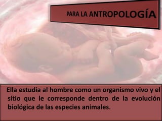 Ella estudia al hombre como un organismo vivo y el
sitio que le corresponde dentro de la evolución
biológica de las especies animales.
 