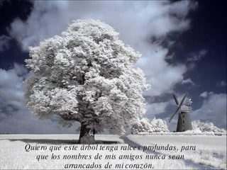 Quiero que este árbol tenga raíces profundas, para que los nombres de mis amigos nunca sean arrancados de mi corazón,  