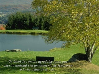 Un árbol de sombra agradable, para que nuestra amistad sea un momento de reposo en la lucha diaria de la vida.. 