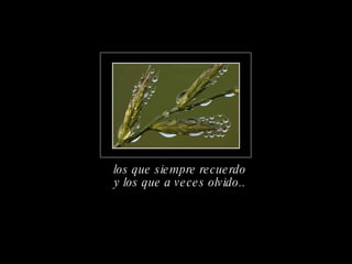 y los que a veces olvido.. los que siempre recuerdo 