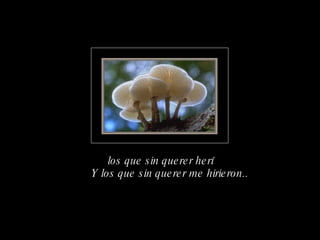 los que sin querer herí Y los que sin querer me hirieron.. 