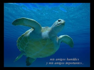 mis amigos humildes  y mis amigos importantes.. 