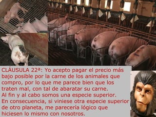 CLÁUSULA 22ª: Yo acepto pagar el precio más bajo posible por la carne de los animales que compro, por lo que me parece bien que los traten mal, con tal de abaratar su carne.  Al fin y al cabo somos una especie superior.  En consecuencia, si viniese otra especie superior de otro planeta, me parecería lógico que hiciesen lo mismo con nosotros. 