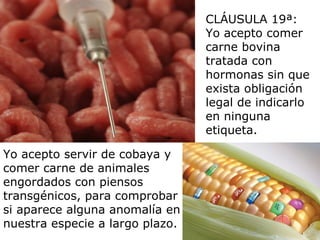 CLÁUSULA 19ª:
                                 Yo acepto comer
                                 carne bovina
                                 tratada con
                                 hormonas sin que
                                 exista obligación
                                 legal de indicarlo
                                 en ninguna
                                 etiqueta.

Yo acepto servir de cobaya y
comer carne de animales
engordados con piensos
transgénicos, para comprobar
si aparece alguna anomalía en
nuestra especie a largo plazo.
 
