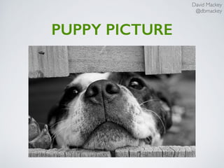 David Mackey
@dbmackey
PUPPY PICTURE
 