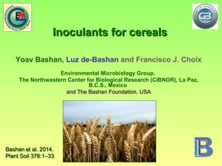 Inoculants for cerealsInoculants for cereals
Yoav Bashan, Luz de-Bashan and Francisco J. Choix
Environmental Microbiology Group,
The Northwestern Center for Biological Research (CIBNOR), La Paz,
B.C.S., Mexico
and The Bashan Foundation, USAand The Bashan Foundation, USA
 