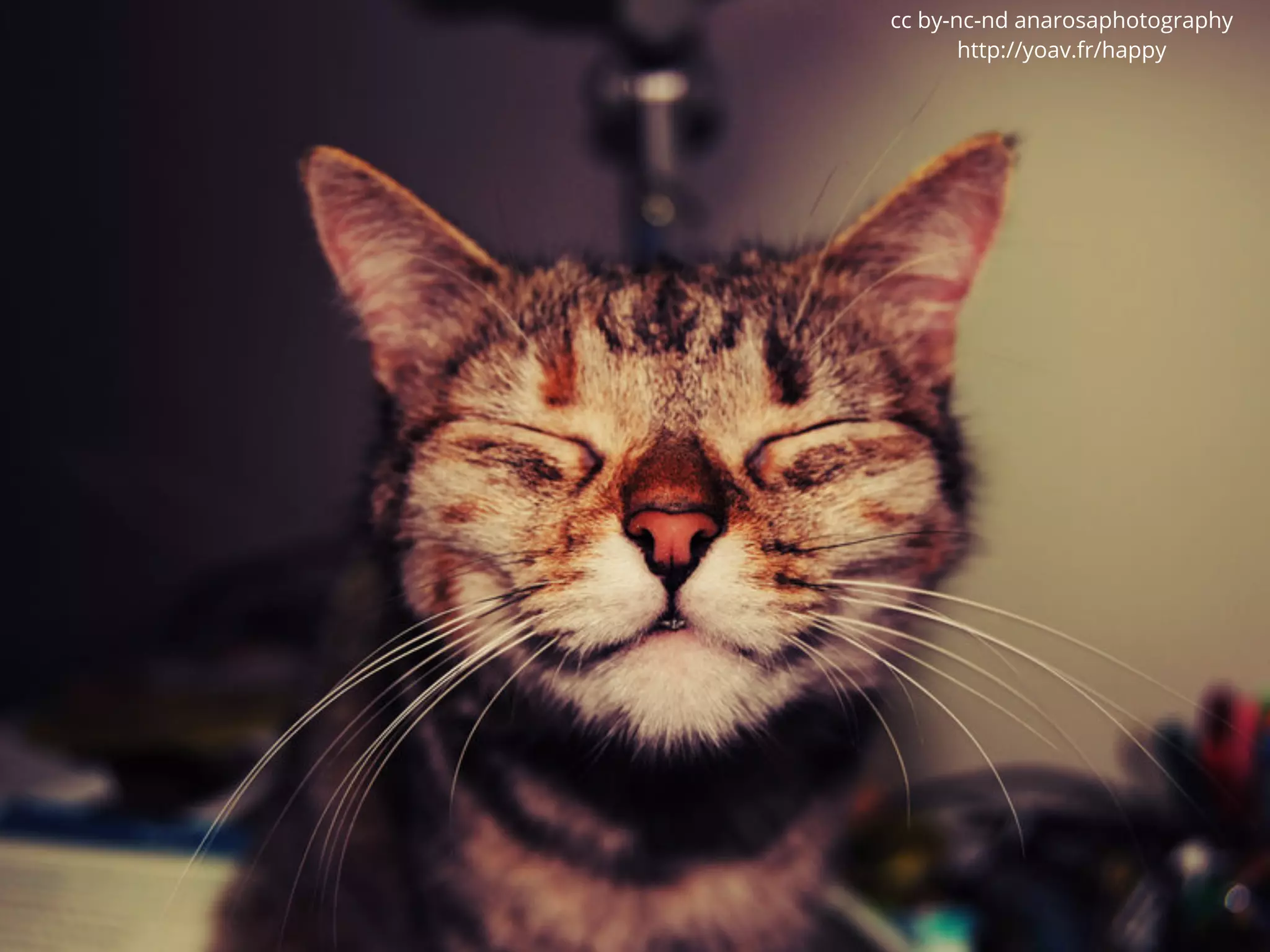 cc by-nc-nd anarosaphotography
           http://yoav.fr/happy




Happy
 