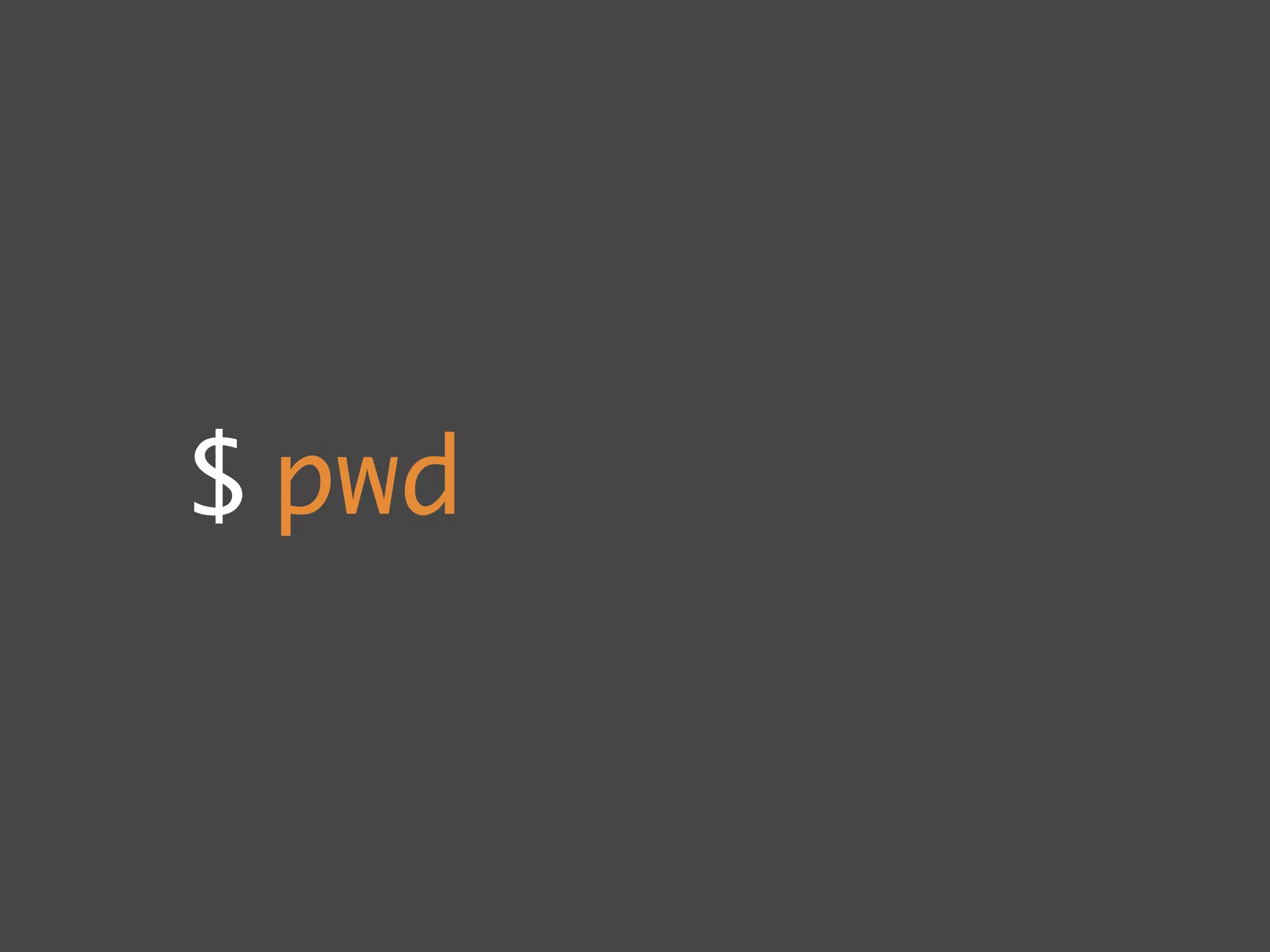 $ pwd
 