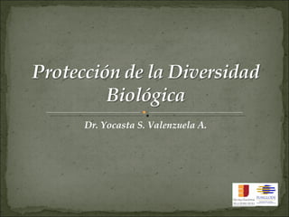 Dr. Yocasta S. Valenzuela A. 