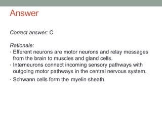 Answer
Correct answer: C
Rationale:
• Efferent neurons are motor neurons and relay messages
from the brain to muscles and gland cells.
• Interneurons connect incoming sensory pathways with
outgoing motor pathways in the central nervous system.
• Schwann cells form the myelin sheath.
 