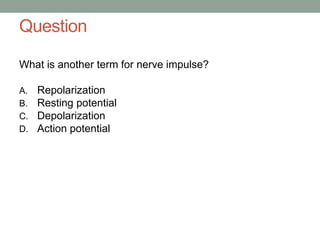 Question
What is another term for nerve impulse?
A. Repolarization
B. Resting potential
C. Depolarization
D. Action potential
 