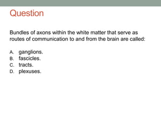 Question
Bundles of axons within the white matter that serve as
routes of communication to and from the brain are called:
A. ganglions.
B. fascicles.
C. tracts.
D. plexuses.
 