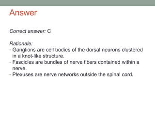 Answer
Correct answer: C
Rationale:
• Ganglions are cell bodies of the dorsal neurons clustered
in a knot-like structure.
• Fascicles are bundles of nerve fibers contained within a
nerve.
• Plexuses are nerve networks outside the spinal cord.
 