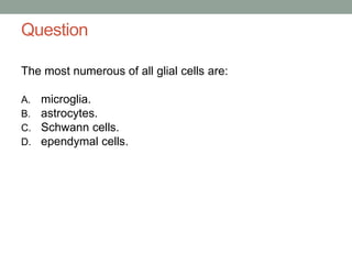 Question
The most numerous of all glial cells are:
A. microglia.
B. astrocytes.
C. Schwann cells.
D. ependymal cells.
 