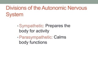 Divisions of the Autonomic Nervous
System
• Sympathetic: Prepares the
body for activity
• Parasympathetic: Calms
body functions
 