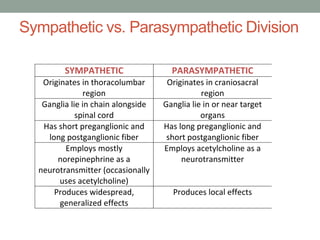 SYMPATHETIC PARASYMPATHETIC
Originates in thoracolumbar
region
Originates in craniosacral
region
Ganglia lie in chain alongside
spinal cord
Ganglia lie in or near target
organs
Has short preganglionic and
long postganglionic fiber
Has long preganglionic and
short postganglionic fiber
Employs mostly
norepinephrine as a
neurotransmitter (occasionally
uses acetylcholine)
Employs acetylcholine as a
neurotransmitter
Produces widespread,
generalized effects
Produces local effects
Sympathetic vs. Parasympathetic Division
 