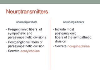 Neurotransmitters
Cholinergic fibers
• Preganglionic fibers of
sympathetic and
parasympathetic divisions
• Postganglionic fibers of
parasympathetic division
• Secrete acetylcholine
Adrenergic fibers
• Include most
postganglionic
fibers of the sympathetic
division
• Secrete norepinephrine
 