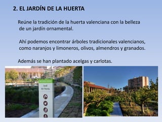 2. EL JARDÍN DE LA HUERTA
Reúne la tradición de la huerta valenciana con la belleza
de un jardín ornamental.
Ahí podemos encontrar árboles tradicionales valencianos,
como naranjos y limoneros, olivos, almendros y granados.
Además se han plantado acelgas y carlotas.
 