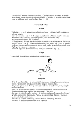38
Variantes: Esta posición admite dos variantes. La primera consiste en separar las piernas
tanto como se pueda, manteniéndolas bien estiradas. La segunda, en flexionar las piernas y
llevar las rodillas al suelo, entre la cabeza (figs. 11 y 12).
Postura de la cobra
Técnica
Extiéndase en el suelo, boca abajo, con las piernas juntas y estiradas y los brazos a ambos
lados del cuerpo.
Eleve lentamente el tronco hasta donde pueda, mediante la colaboración de los músculos
abdominales y los dorsales, y coloque las palmas de las manos en el suelo,
aproximadamente en línea con los hombros.
Flexione entonces el tronco tanto como pueda hacia atrás, pero evitando que el abdomen se
separe del suelo. El pecho y el estómago quedan en el aire, pero el bajo vientre en el suelo.
Los brazos permanecen flexionados y la cabeza puede quedar recta o inclinarse hacia atrás.
Vigile que las piernas no se separen.
Mantenida la postura el tiempo adecuado, deshágala con lentitud (fig. 13) .
Tiempo
Mantenga la postura treinta segundos y ejecútela dos veces.
Fig. 13
Beneficios
. Dota de gran flexibilidad a la columna vertebral, previene los desplazamientos discales,
tonifica vigorosamente la médula espinal y los ganglios ortosimpáticos.
. Irriga de sangre la espina dorsal y estimula todos los músculos dorsales, el trapecio y los
músculos del cuello.
. Ejerce un profundo masaje sobre la región lumbar y mejora el funcionamiento de las
glándulas suprarrenales. Favorece las regiones sacra y coccígea.
. Fortalece los músculos de los hombros y de los brazos, así como los pectorales. Estira y
revitaliza los músculos abdominales. Presiona favorablemente el abdomen y mejora el
funcionamiento de los intestinos.
. Favorece los sistemas simpático y parasimpático, los pulmones y el corazón.
. Fortalece los glúteos y los filamentos de las vértebras.
 