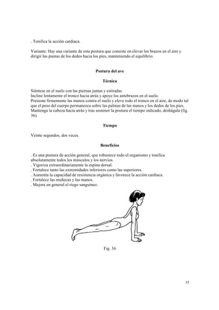 55
. Tonifica la acción cardiaca.
Variante: Hay una variante de esta postura que consiste en elevar los brazos en el aire y
dirigir las puntas de los dedos hacia los pies, manteniendo el equilibrio.
Postura del ave
Técnica
Siéntese en el suelo con las piernas juntas y estiradas.
Incline lentamente el tronco hacia atrás y apoye los antebrazos en el suelo.
Presione firmemente las manos contra el suelo y eleve todo el tronco en el aire, de modo tal
que el peso del cuerpo permanezca sobre las palmas de las manos y los dedos de los pies.
Mantenga la cabeza hacia atrás y tras sostener la postura el tiempo indicado, deshágala (fig.
36).
Tiempo
Veinte segundos, dos veces.
Beneficios
. Es una postura de acción general, que robustece todo el organismo y tonifica
absolutamente todos los músculos y los nervios.
. Vigoriza extraordinariamente la espina dorsal.
. Fortalece tanto las extremidades inferiores como las superiores.
. Aumenta la capacidad de resistencia orgánica y favorece la acción cardiaca.
. Fortalece las muñecas y las manos.
. Mejora en general el riego sanguíneo.
Fig. 36
 