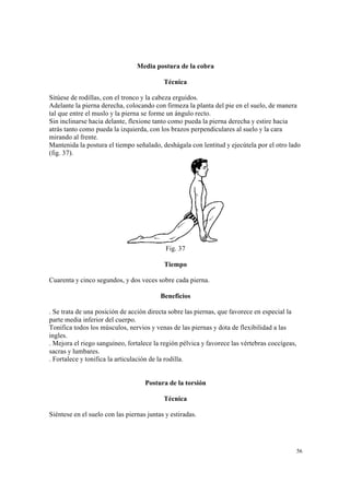 56
Media postura de la cobra
Técnica
Sitúese de rodillas, con el tronco y la cabeza erguidos.
Adelante la pierna derecha, colocando con firmeza la planta del pie en el suelo, de manera
tal que entre el muslo y la pierna se forme un ángulo recto.
Sin inclinarse hacia delante, flexione tanto como pueda la pierna derecha y estire hacia
atrás tanto como pueda la izquierda, con los brazos perpendiculares al suelo y la cara
mirando al frente.
Mantenida la postura el tiempo señalado, deshágala con lentitud y ejecútela por el otro lado
(fig. 37).
Fig. 37
Tiempo
Cuarenta y cinco segundos, y dos veces sobre cada pierna.
Beneficios
. Se trata de una posición de acción directa sobre las piernas, que favorece en especial la
parte media inferior del cuerpo.
Tonifica todos los músculos, nervios y venas de las piernas y dota de flexibilidad a las
ingles.
. Mejora el riego sanguíneo, fortalece la región pélvica y favorece las vértebras coccígeas,
sacras y lumbares.
. Fortalece y tonifica la articulación de la rodilla.
Postura de la torsión
Técnica
Siéntese en el suelo con las piernas juntas y estiradas.
 