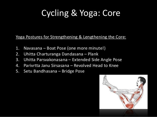 Yoga Cycling Anatomy