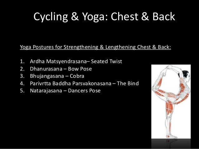 Yoga Cycling Anatomy