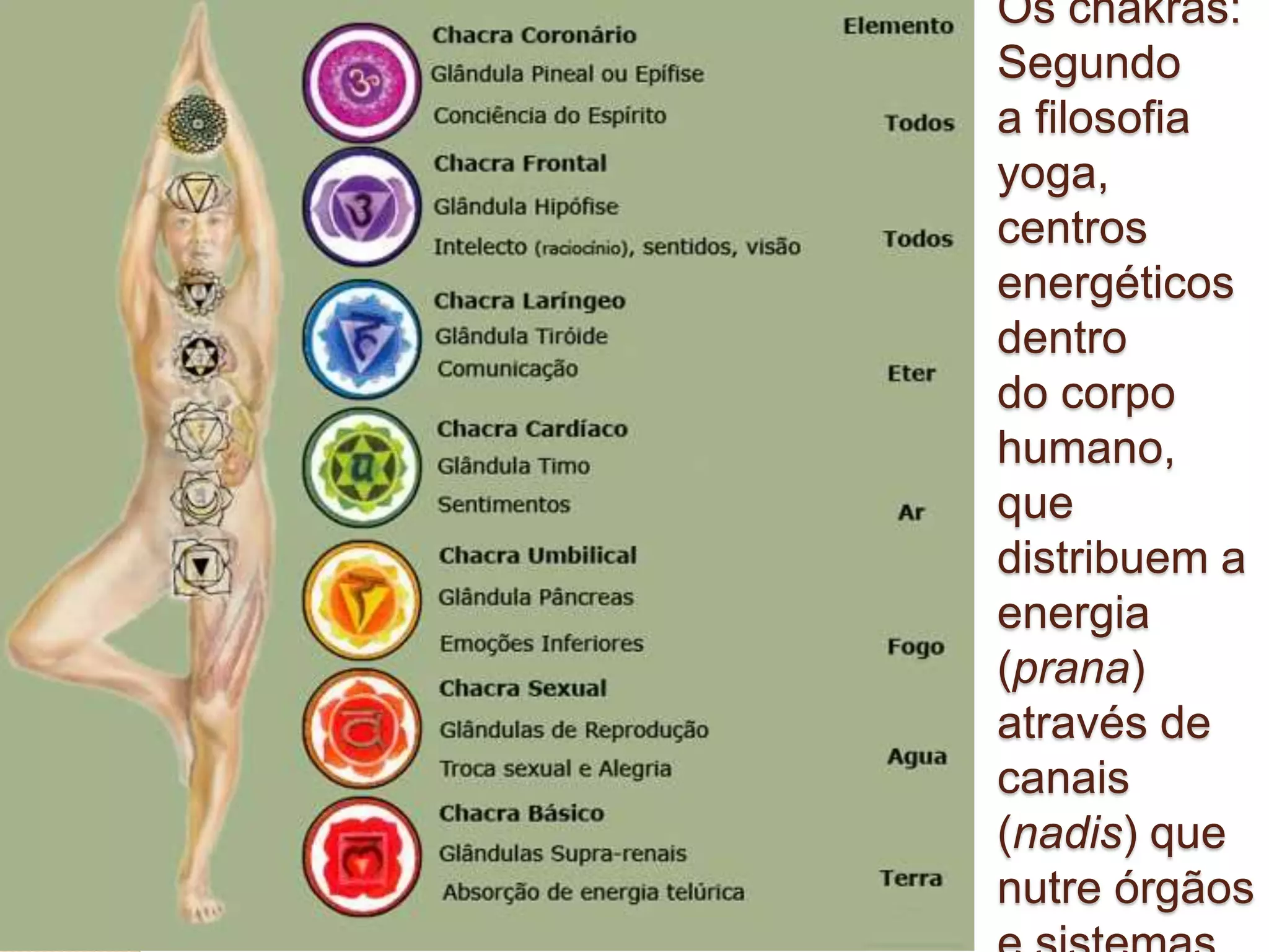 Os chakras:
Segundo
a filosofia
yoga,
centros
energéticos
dentro
do corpo
humano,
que
distribuem a
energia
(prana)
através de
canais
(nadis) que
nutre órgãos
 