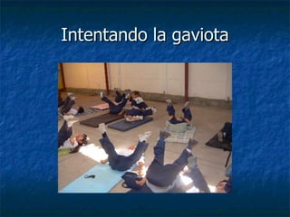 Intentando la gaviota
Intentando la gaviota
 