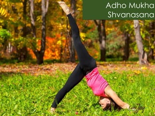 Yoga poses healthy digestion detox