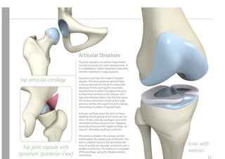 Articular Structure
                            The joint capsule is connective tissue sheath-
                            ing that surrounds and seals synovial joints. It
                            is susceptible to stretch injury when executing
                            extreme movements in yoga postures.


hip articular cartilage     Synovial tissue lines the inside of the joint
                            capsule. This tissue produces synovial uid,
                            a viscous lubricant for the joint surface that
                            decreases friction during joint movement.
                            Synovial uid circulates throughout the joint,
                            transporting nutrients to the articular carti-
                            lage and removing debris from the joint space.
                            The various contortions resulting from yoga
                            postures aid ex and expand the joint capsule,
                            stimulating circulation of synovial uid.

                            Articular cartilage covers the joint surfaces,
                            allowing smooth gliding of one bone over the
                            other. In fact, articular cartilage is one of the
                            smoothest surfaces known to man. Applying
                            excessive pressure to this fragile cartilage can
                            injure it, ultimately resulting in arthritis.

                            The meniscus deepens the articular surface
                            and broadens the contact area of the joint. This
                            aids to stabilize the joint and distributes the
                                                                                knee with
  hip joint capsule with    force of gravity and muscular contraction over a
                            greater surface area. The meniscus is composed
                            of brocartilage, giving it a exible rubbery         menisci
synovium (posterior view)   consistency.
                                                                                        23
 