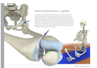 Joint reaction forces - applied
For example, the ball and socket joint of the hip has greater range of motion
than the hinge joint of the knee. Lotus posture (or padmasana) requires a
large amount of external rotation of the hip joint to bring the foot into posi-
tion on the opposite leg. Obtaining this external rotation from the knee joint
creates incongruency because the knee is a hinge joint with limited capacity to
rotate. This incongruency can result in the abnormal distribution of joint reac-
tion forces, injuring the intra-articular structures of the knee. Therefore it is
essential to rst obtain full range of motion of the ball and socket hip joint to
protect the hinge knee joint. (see arrows)




                                                                                    ardha padmasana
 