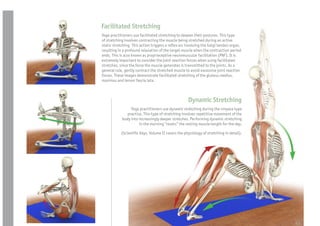 Facilitated Stretching
Yoga practitioners use facilitated stretching to deepen their postures. This type
of stretching involves contracting the muscle being stretched during an active
static stretching. This action triggers a re ex arc involving the Golgi tendon organ,
resulting in a profound relaxation of the target muscle when the contraction period
ends. This is also known as proprioceptive neuromuscular facilitation (PNF). It is
extremely important to consider the joint reaction forces when using facilitated
stretches, since the force the muscle generates is transmitted to the joints. As a
general rule, gently contract the stretched muscle to avoid excessive joint reaction
forces. These images demonstrate facilitated stretching of the gluteus medius,
maximus and tensor fascia lata.



                                                    Dynamic Stretching
                 Yoga practitioners use dynamic stretching during the vinyasa type
               practice. This type of stretching involves repetitive movement of the
            body into increasingly deeper stretches. Performing dynamic stretching
                      in the morning “resets” the resting muscle length for the day.

           (Scienti c Keys, Volume II covers the physiology of stretching in detail).




                                                                                        43
 