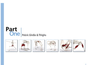 Part
 One   Pelvic Girdle & Thighs




                                49
 