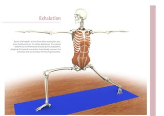 Exhalation



   Access the breath’s primal force when moving into pos-
  tures. Gently contract the rectus abdominus, transversus
    abdominus and intercostal muscles during exhalation.
Applying this type of contraction rhythmically connects the
       conscious and unconscious mind during movement.
 