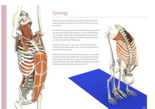 Synergy
Train the accessory breathing muscles so that they work
synergistically to expand and contract the thorax during
movement.

Increase the lung volume during inhalation by contracting
the accessory breathing muscles in various combinations.
For example, combine the rhomboids with the pectoralis
minor, or the rectus abdominus with the quadratus lumbo-
rum (illustrated here in tadasana).

Expel the residual air in the lungs during exhalation by
contacting the rectus abdominus, transversus abdominus
and intercostal muscles.

Awakening the accessory breathing muscles is an extreme-
ly powerful technique. Begin with very gentle contraction
and progress slowly and with great care. Never force any
yoga technique, especially breathing. Always proceed with
caution under the guidance of an instructor.




                                                            219
 