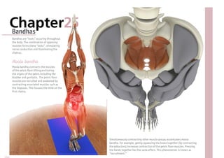 Chapter25
Bandhas
Bandhas are “locks” occuring throughout
the body. The combination of opposing
muscles forms these “locks”, stimulating
nerve conduction and illuminating the
chakras.


Moola bandha
Moola bandha contracts the muscles
of the pelvic oor lifting and toning
the organs of the pelvis including the
bladder and genitalia. The pelvic oor
muscles are recruited and awakened by
contracting associated muscles such as
the iliopsoas. This focuses the mind on the
 rst chakra.




                                              Simultaneously contracting other muscle groups accentuates moola
                                              bandha. For example, gently squeezing the knees together (by contracting
                                              the adductors) increases contraction of the pelvic oor muscles. Pressing
                                              the hands together has the same effect. This phenomenon is known as
                                              “recruitment.”
 
