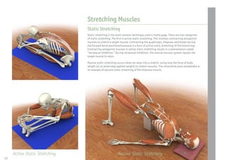 Facilitated Stretching
Yoga practitioners use facilitated stretching to deepen their postures. This type
of stretching inv...
