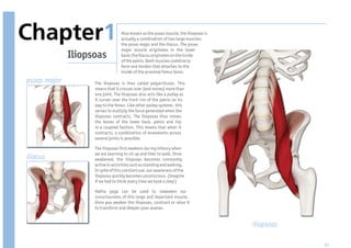 Chapter1                           Also known as the psoas muscle, the iliopsoas is
                                   actually a combination of two large muscles:
                                   the psoas major and the iliacus. The psoas
                                   major muscle originates in the lower
              Iliopsoas            back; the iliacus originates on the inside
                                   of the pelvis. Both muscles combine to
                                   form one tendon that attaches to the
                                   inside of the proximal femur bone.

psoas major         The iliopsoas is thus called polyarticular. This
                    means that it crosses over (and moves) more than
                    one joint. The iliopsoas also acts like a pulley as
                    it curves over the front rim of the pelvis on its
                    way to the femur. Like other pulley systems, this
                    serves to multiply the force generated when the
                    iliopsoas contracts. The iliopsoas thus moves
                    the bones of the lower back, pelvis and hip
                    in a coupled fashion. This means that when it
                    contracts, a combination of movements across
                    several joints is possible.

                    The iliopsoas rst awakens during infancy when
                    we are learning to sit up and then to walk. Once
iliacus             awakened, the iliopsoas becomes constantly
                    active in activities such as standing and walking.
                    In spite of this constant use, our awareness of the
                    iliopsoas quickly becomes unconscious. (Imagine
                    if we had to think every time we took a step!)

                    Hatha yoga can be used to reawaken our
                    consciousness of this large and important muscle.
                    Once you awaken the iliopsoas, contract or relax it
                    to transform and deepen your asanas.


                                                                                      iliopsoas

                                                                                                  57
 