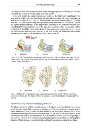 Yoga anatomy for poses | PPTX
