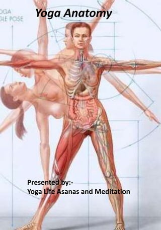 Yoga anatomy for poses