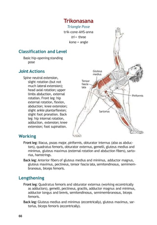 Crow – KAKASANA | Yoga anatomy, What is yoga, Yoga everyday